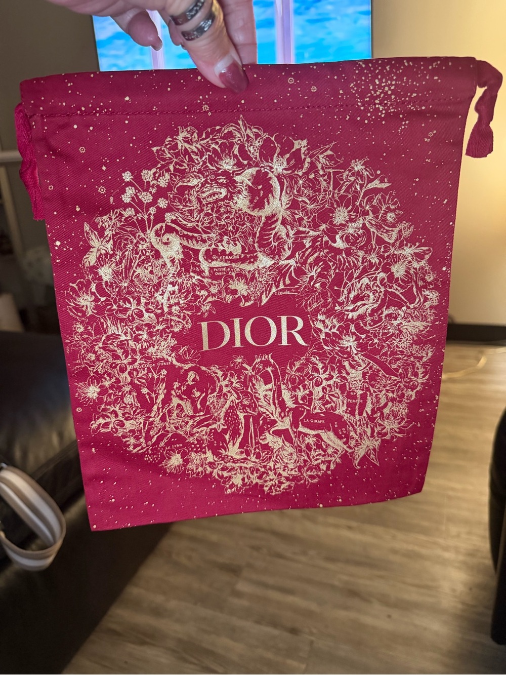 DIOR Red Decorative Drawstring Makeup Pouch
9X11